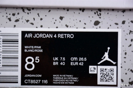 Rep TBK Cacao 4 CT8527-116 Jordan CT8527-116 Air Wow  GS 1217